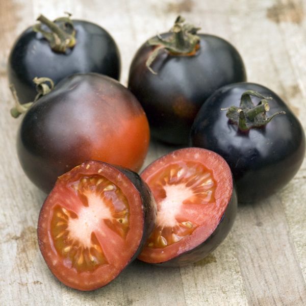 Sementes de Tomate Indigo Rose (raro)