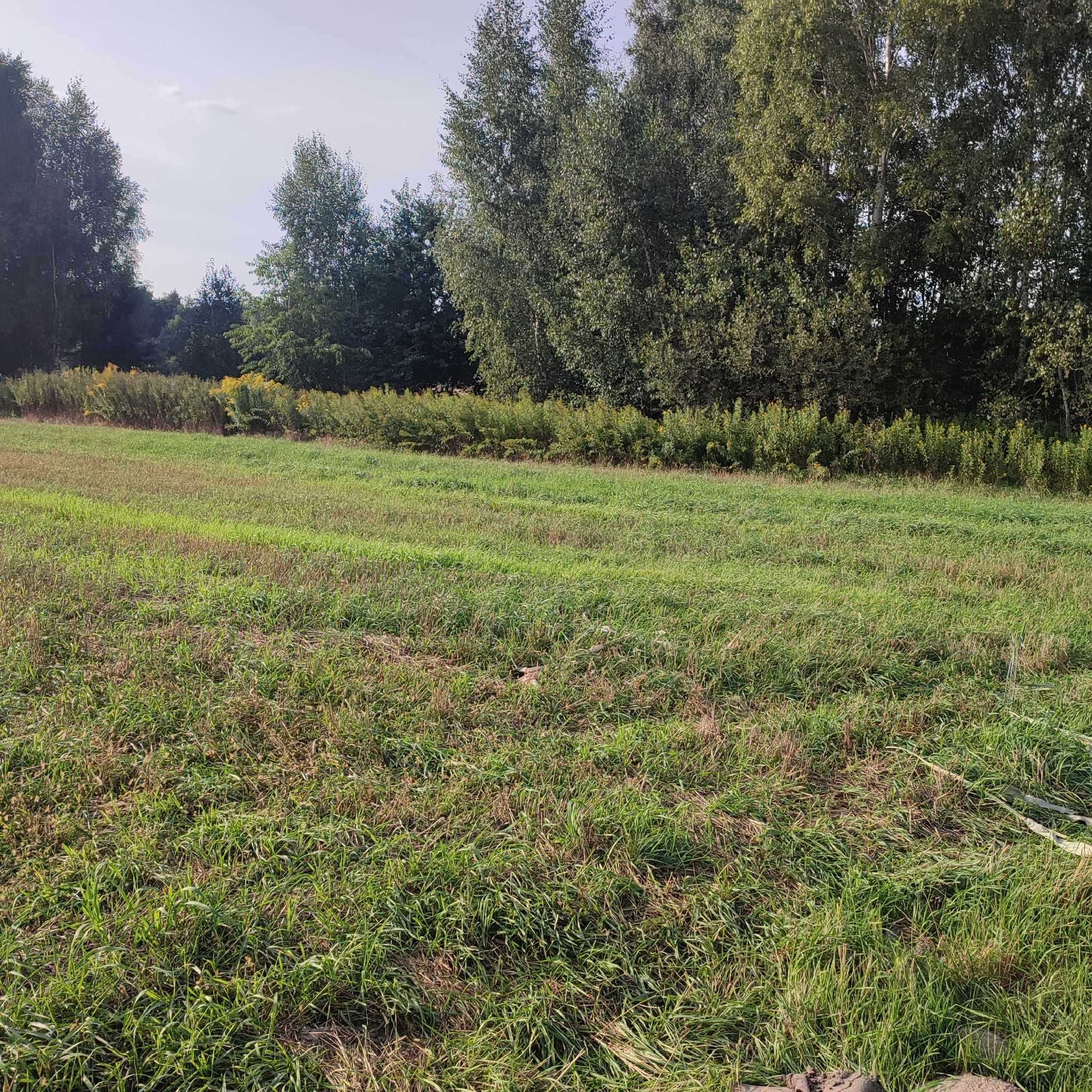 Sprzedam działkę rolno-budowlaną