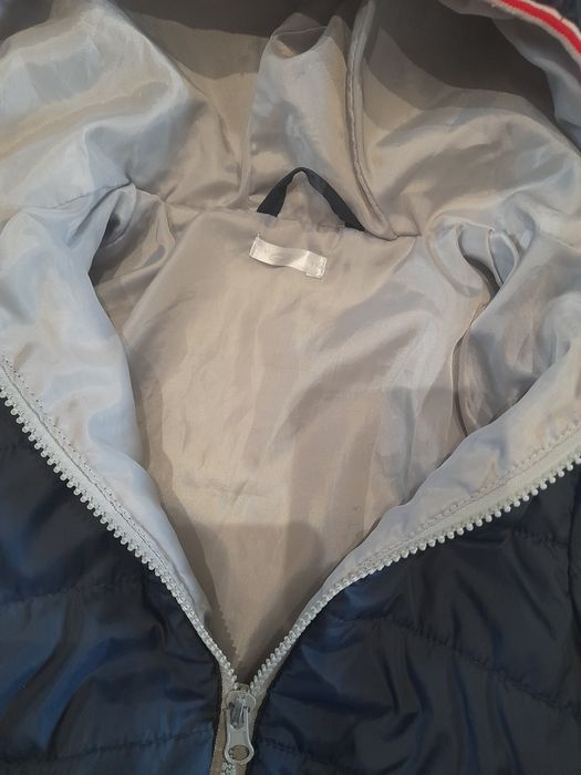 Kurteczka wiosenna 86 przejściowa 86