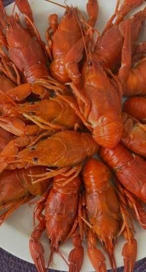 Продам живі раки та вареные