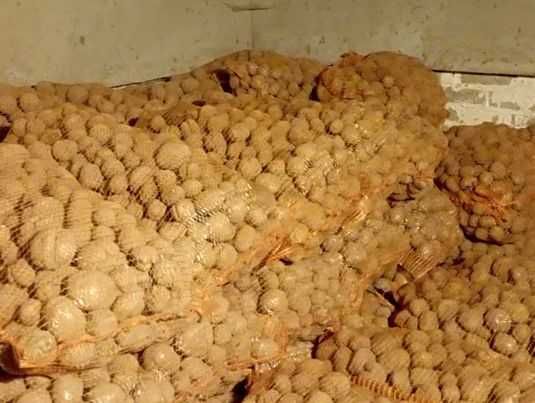 Ziemniaki odpadowe workowane
