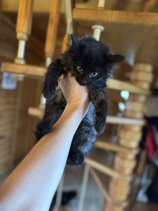 Хлопчик, 2 місяця