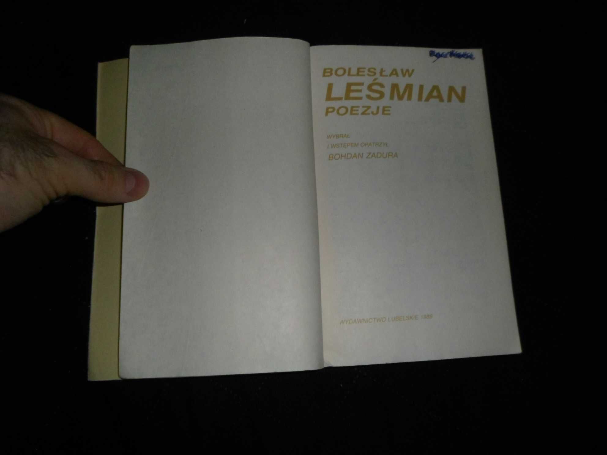Bolesław Leśmian - Poezje