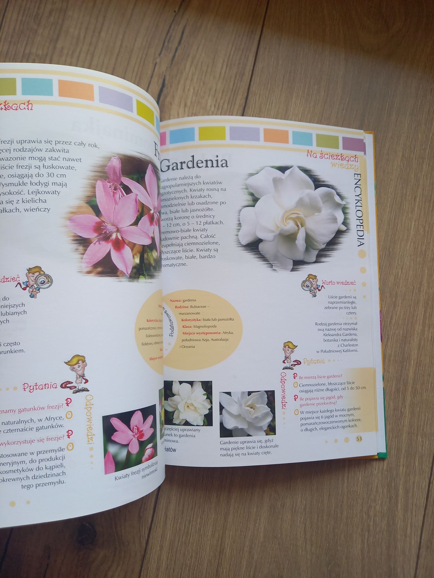 Encyklopedia 100 kwiatów