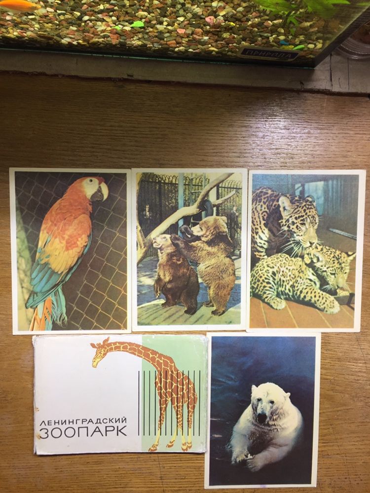 Сказки Пушкина на открытках