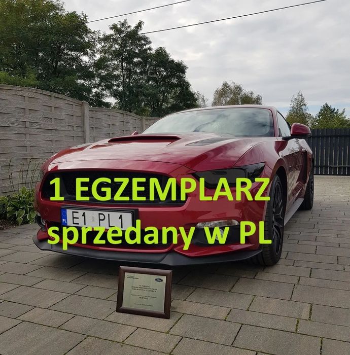 Ford Mustang Ford Mustang 1 EGZEMPLARZ sprzedany w PL zadbany kolekcjonerski