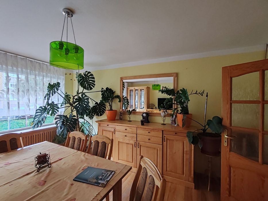 Zestaw drewnianych jesionowych, stabilnych mebli, drewno