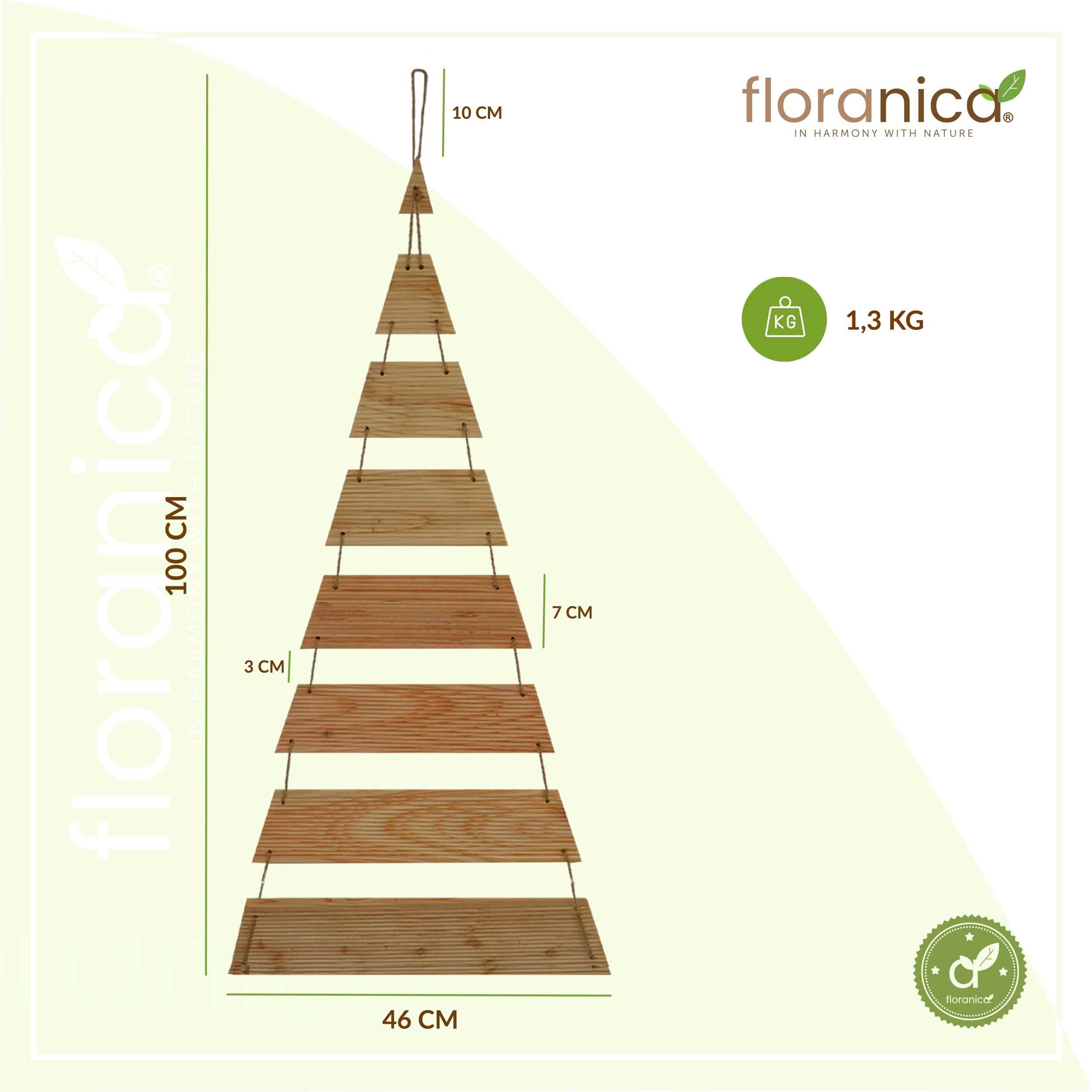 Choinka modrzewiowa, naturalna 100cm, wisząca na sznurku. Floranica