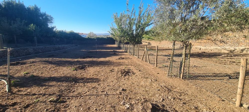 Quintinha em Ribeirão