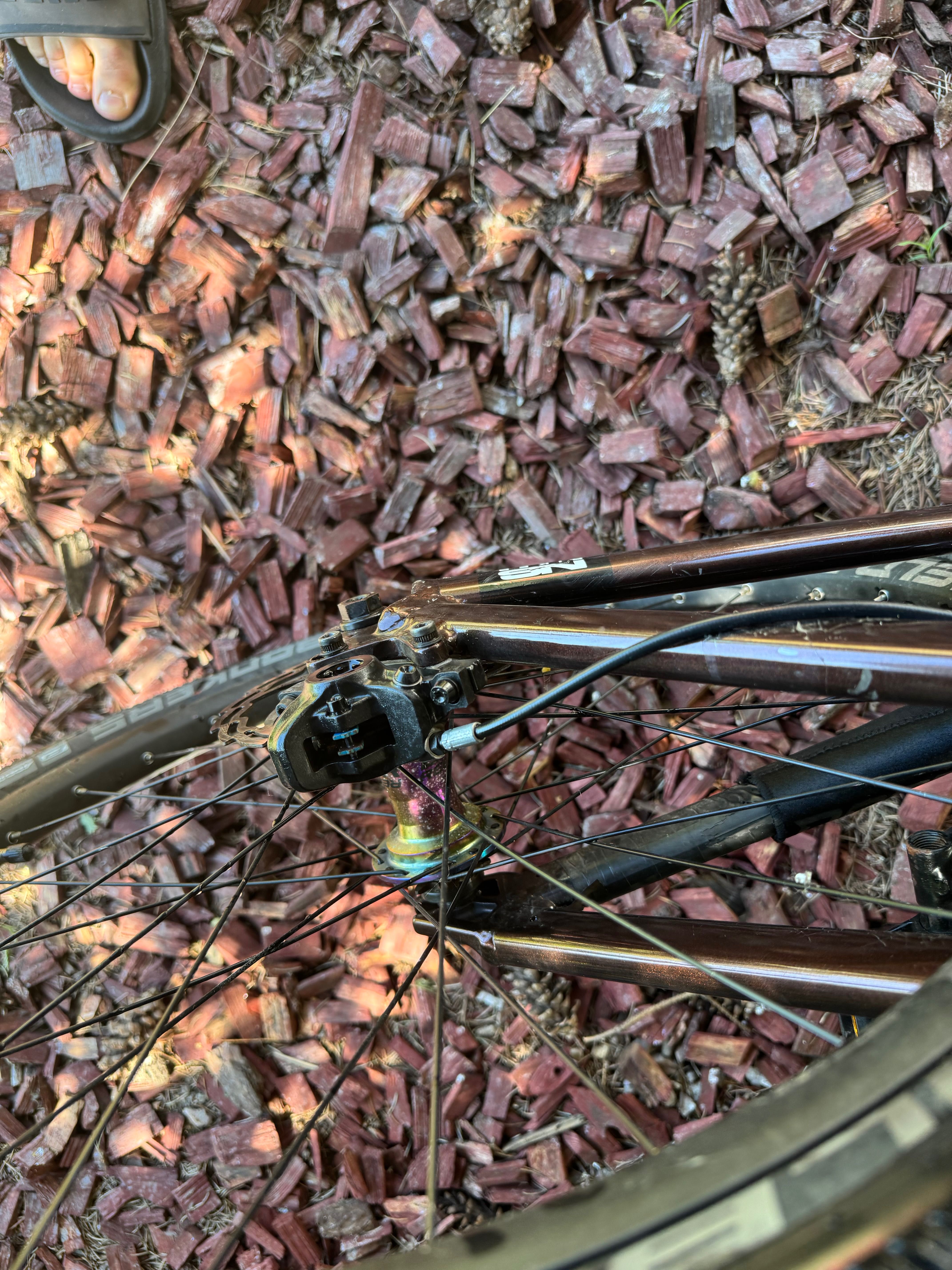 Rower Ns Decade Manitou Reel Pro