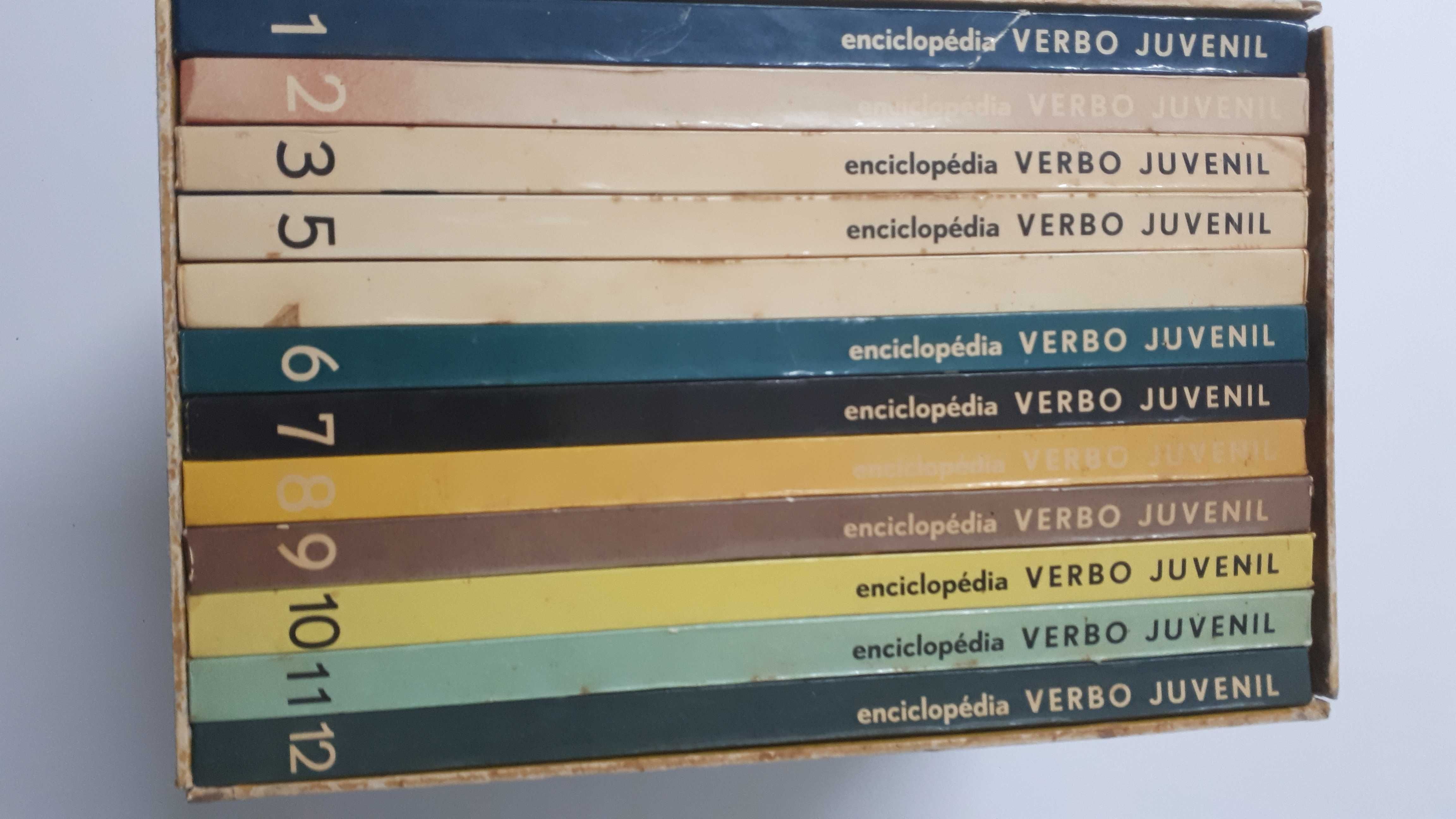 Enciclopédia Verbo Juvenil 12 volumes