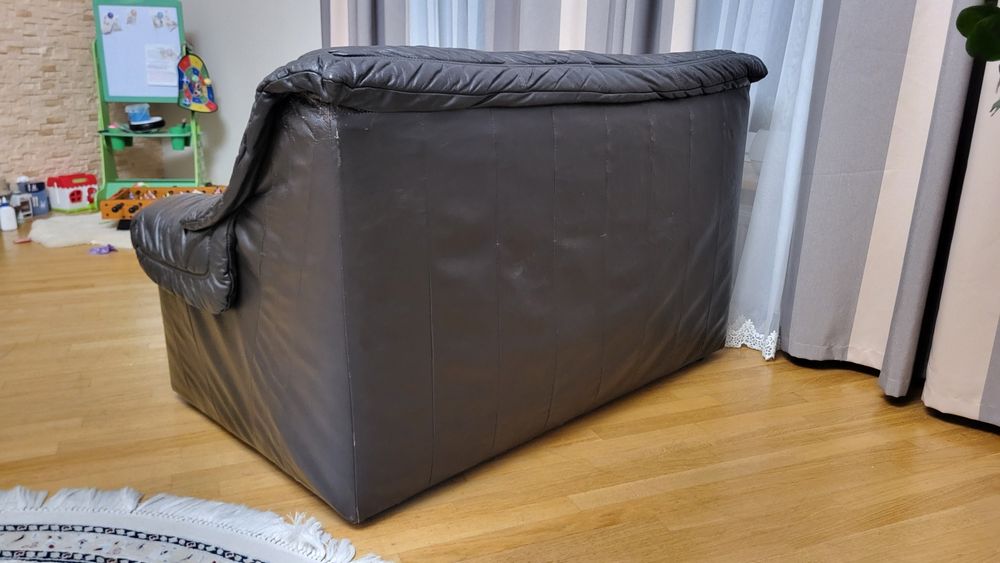 Шкіряний диван нерозкладний, двійка