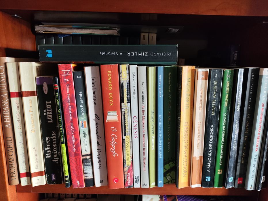 Livros diversos ficção romance policial etc