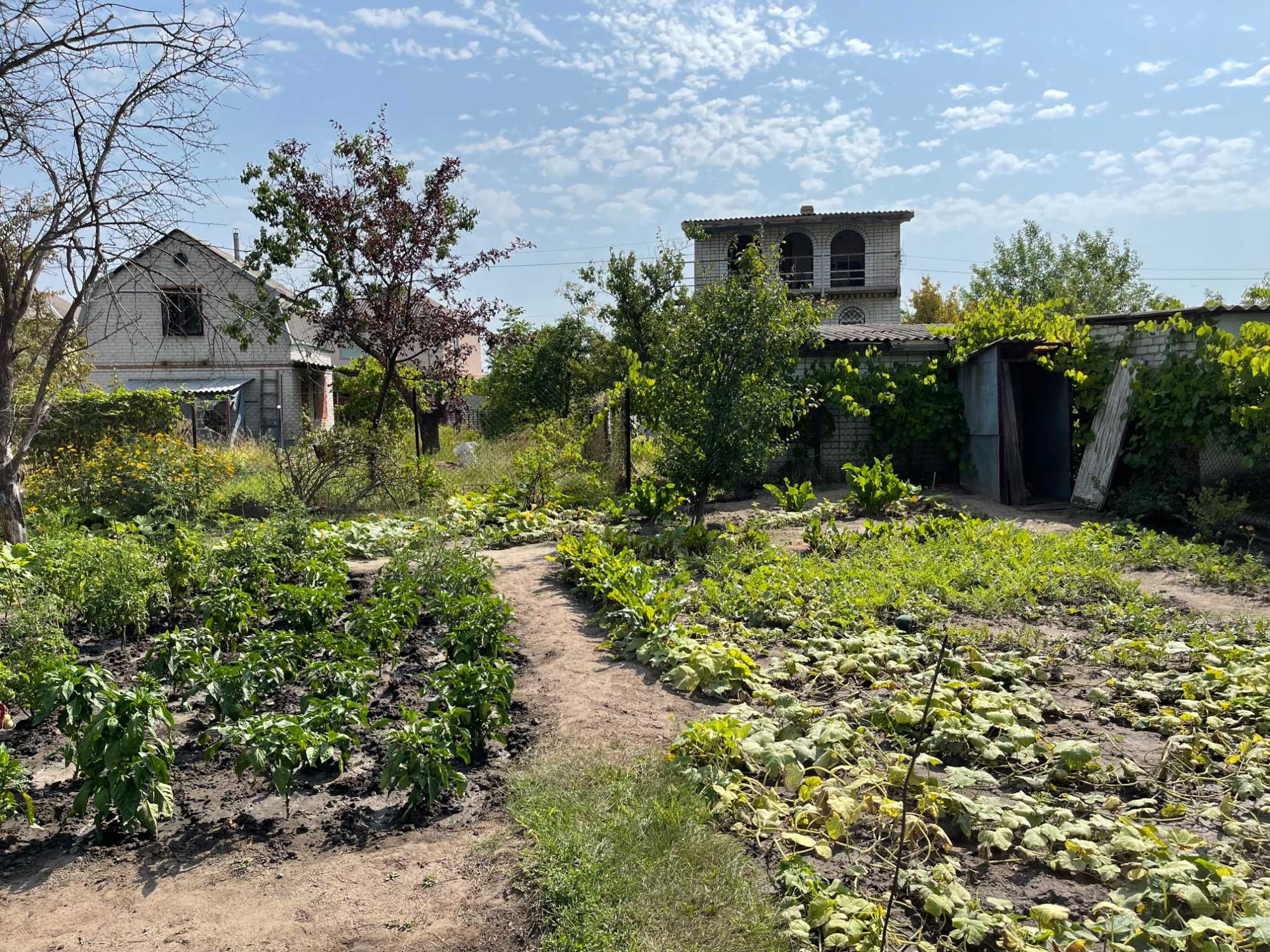 Продается дача в пригороде Днепра. Самаровка, кооператив «Слива»