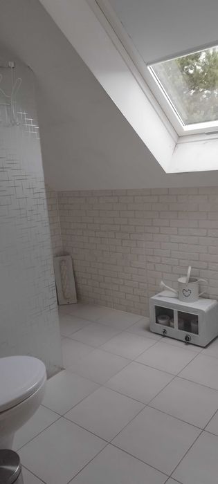 Na ryby, na grzyby- nad jezioro