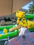 Duzy basen ze zjeżdżalnią i trampoliną