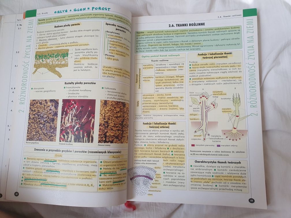 Biologia Vademecum Maturalne Operon