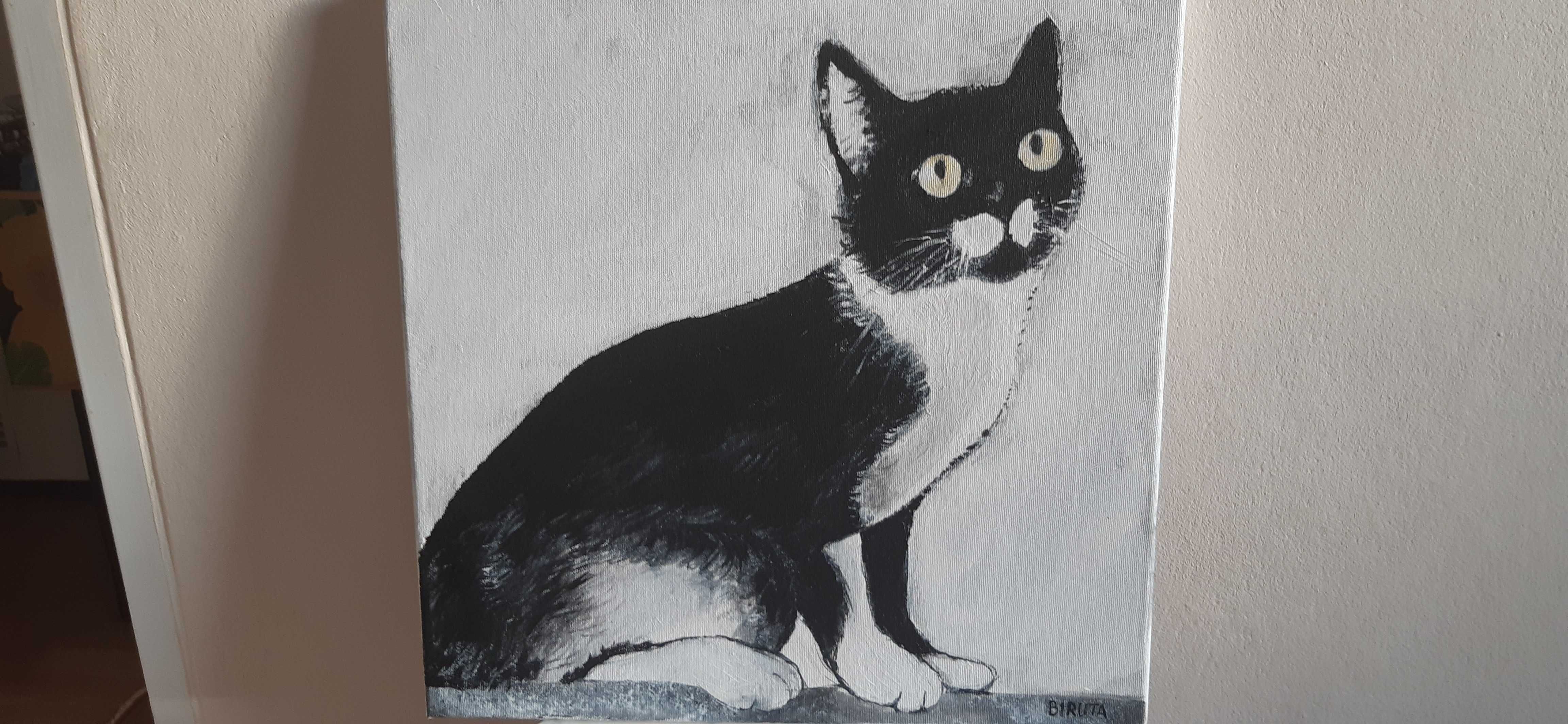 obraz pt. "Kot", akryl, 40x40 cm