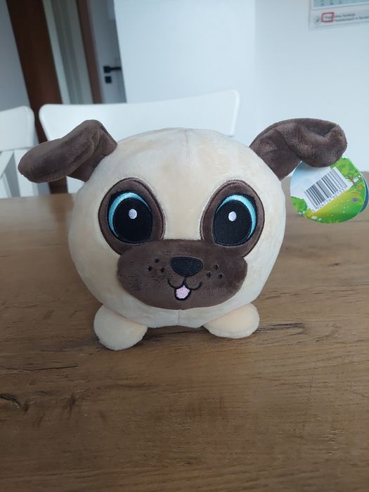 Piesek Gang Bystrzaków Biedronka