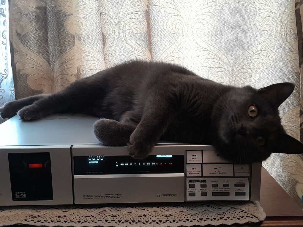 Кассетная дека AKAI  GX-9  25 000