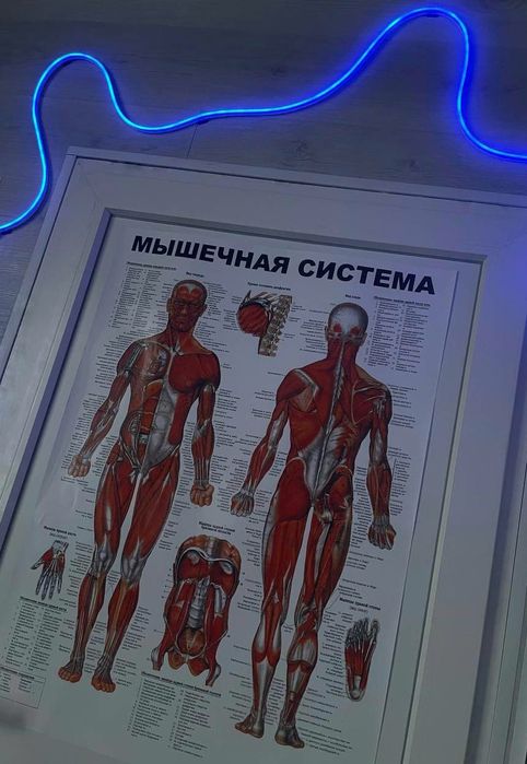 Массаж лица, Массаж, Лечебный, Антицелюлитный, Днепр, Левый берег.