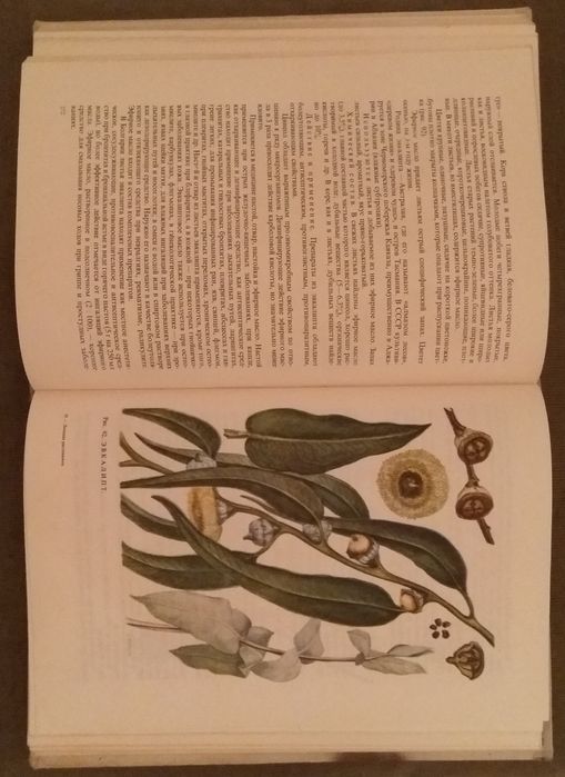 Травы книга 1972 г