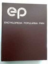 Encyklopedia popularna PWN