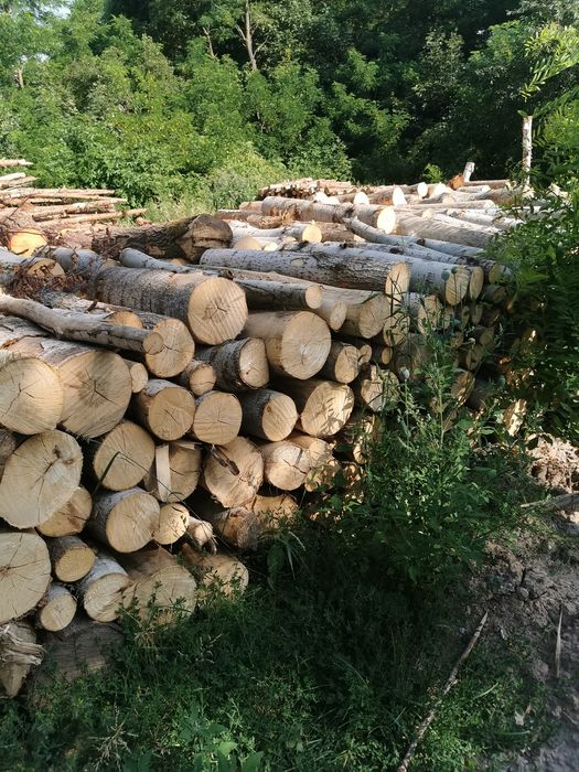 Drewno opałowe sosnowe oraz osikowe. .