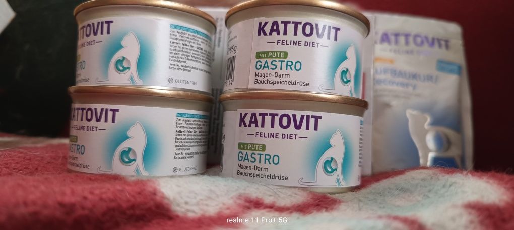 Karmy dla kota niewydolnosc pokarmowa watroba biegunki