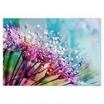 FotoTapety 368x254 Krople rosy Dmuchawiec