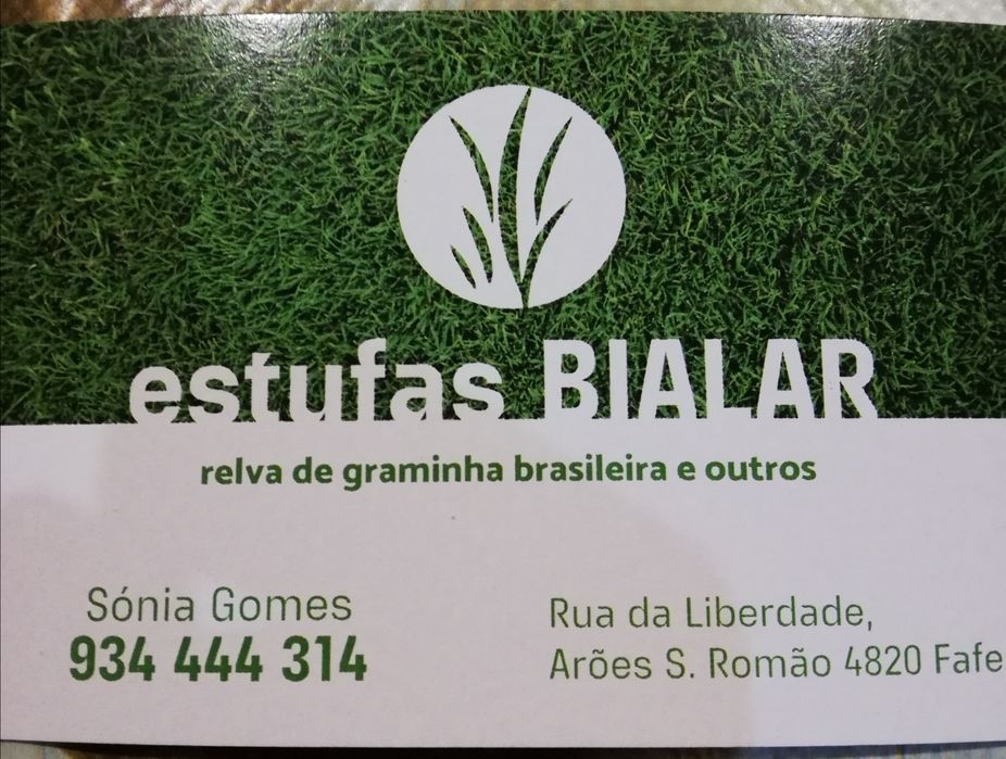 Relva de graminha brasileira com  grande qualidade,.