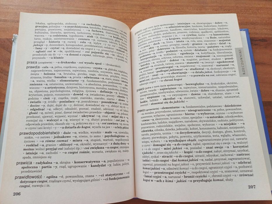 Słownik dobrego stylu czyli wyrazy które się lubią - Mirosław Bańko