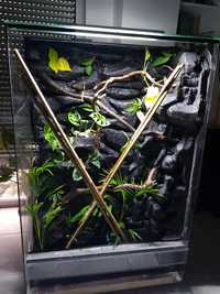 Terrarium 60x40x120