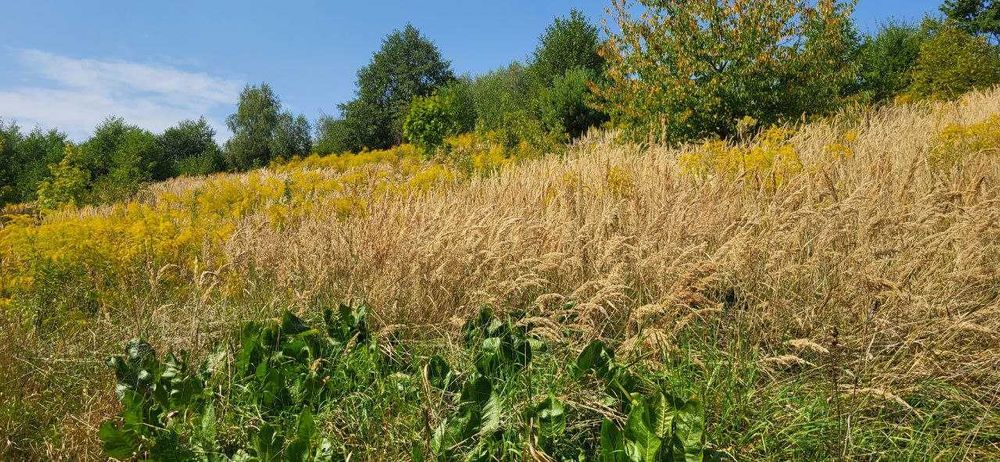 Продаж двох суміжних ділянок в Брюховичах, ліс, чудовий краєвид !