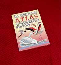 Książka “Ilustrowany Atlas Niezwykłych Ptaków” - wydawnictwo IBIS