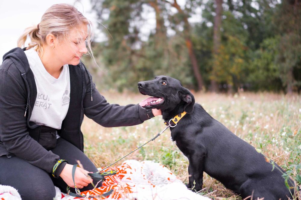 1,5 roczna Kamala szuka domu!