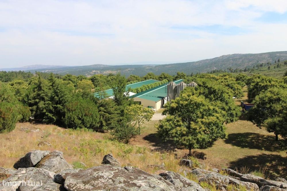 Aviário em Funcionamento-Excelente Rentabilidade