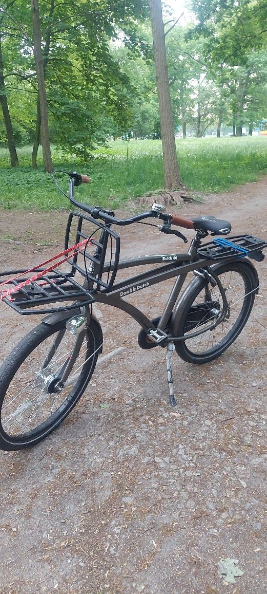 Rower cargo z Dani mocny alu