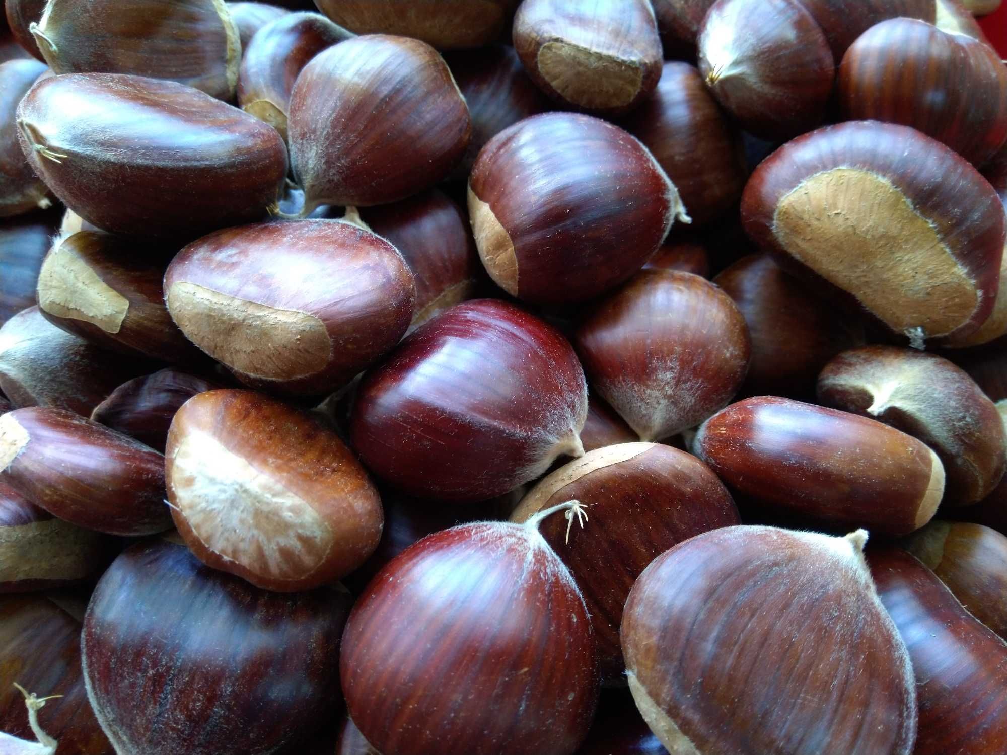 2.2Kg Castanhas 2024 Trás-os-Montes c/ Portes