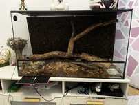 Vendo terrario 100x60 ReptiSelva aceito troca repteis