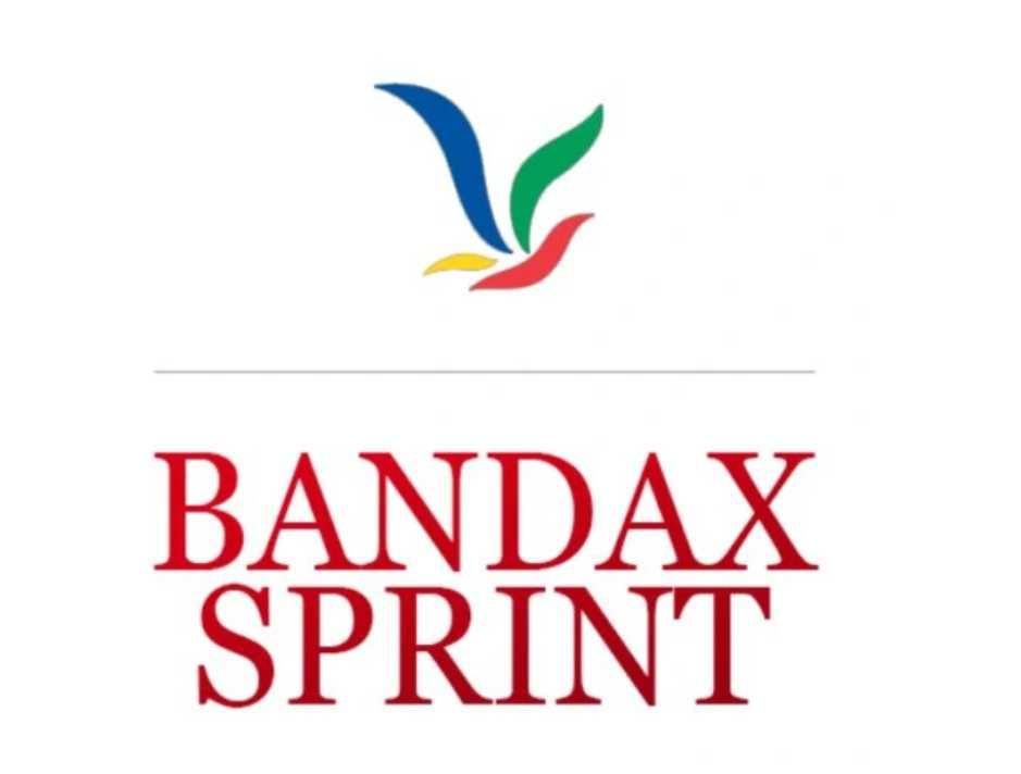BANDAX Sprint Biały 30KG