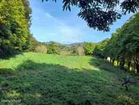 Terreno  para venda