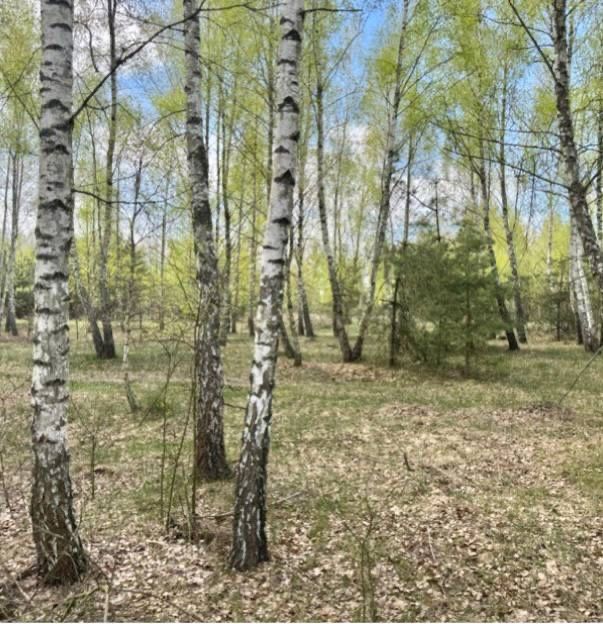 Продам земельну ділянку с. Калинівка 6,9 га