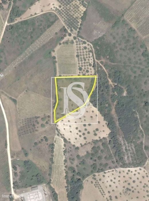 Terreno Rustico - Aldeia do Pafarrão - Torres Novas