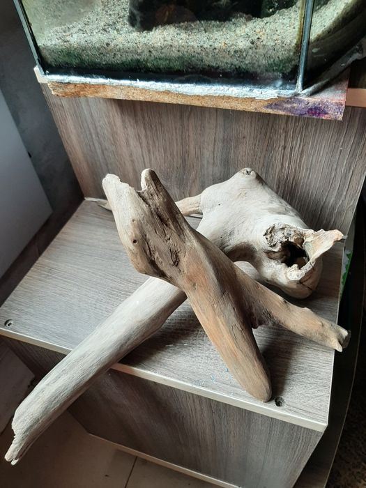 Продам коряги в аквариум.