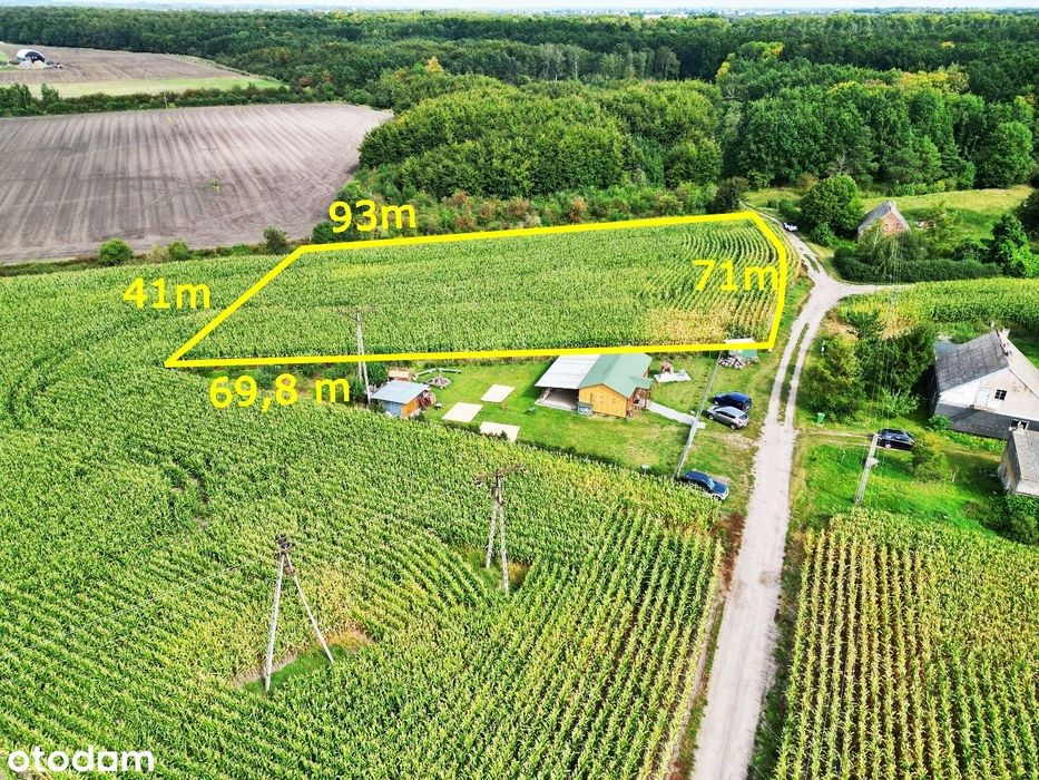 Duża działka budowlana przy lesie z WZ! Słońsko