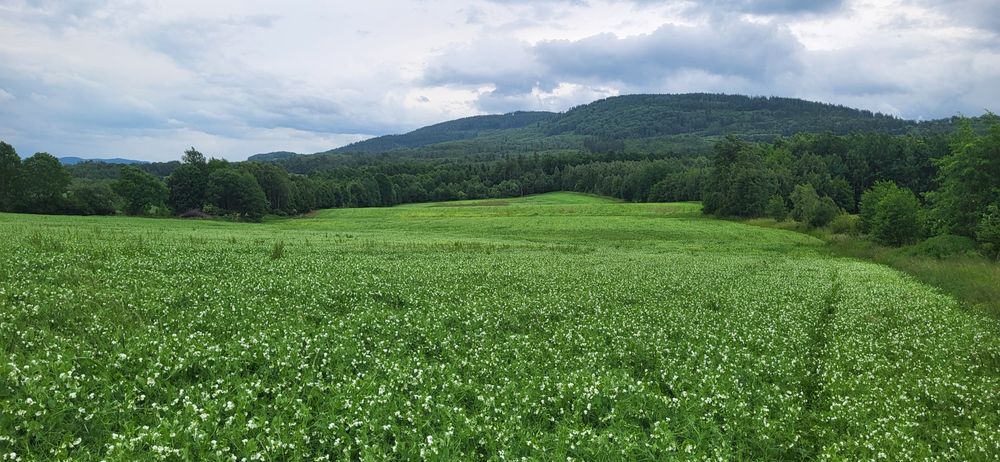 Grunt Rolny Budowlany Działka Budynek