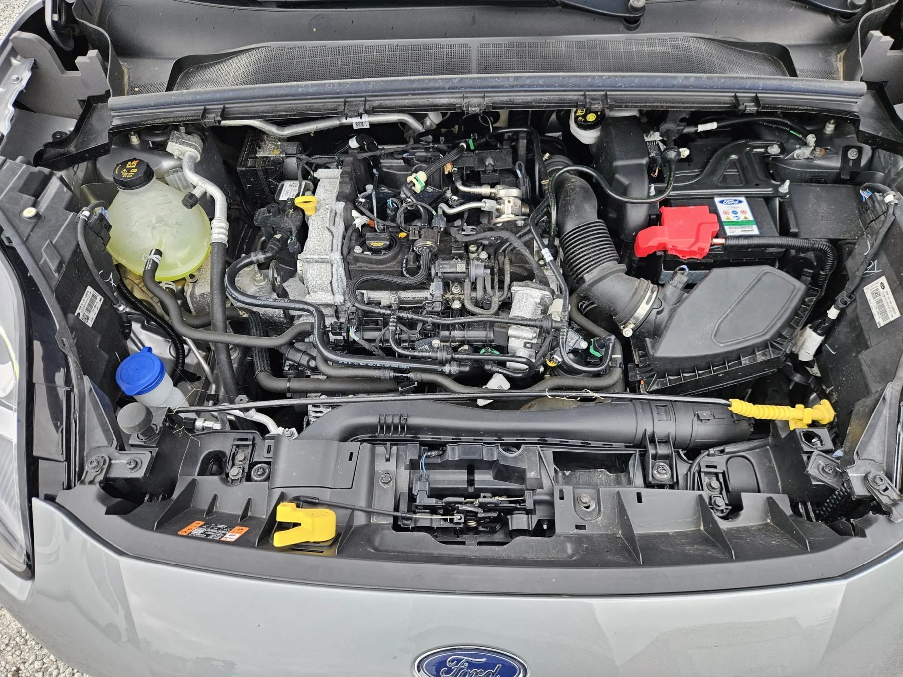 Ford Puma 2022r. - 1.0 Benzyna - Niski przebieg