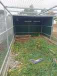 Gaiola 6m x 3mt X1.70mt