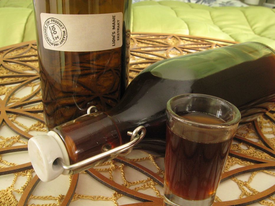 Adaptogen  grzyb leczniczy  Soplówka Jeżowata Bio Lion's Mane  550ml